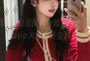 动漫游戏粉丝福利，九一黑料app火爆线路全解析
