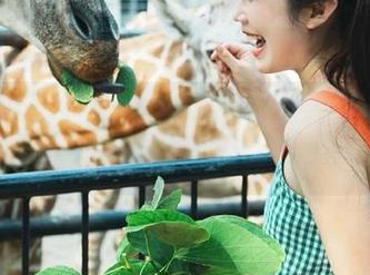 吃瓜网下载入口及更新指南，轻松获取新内容