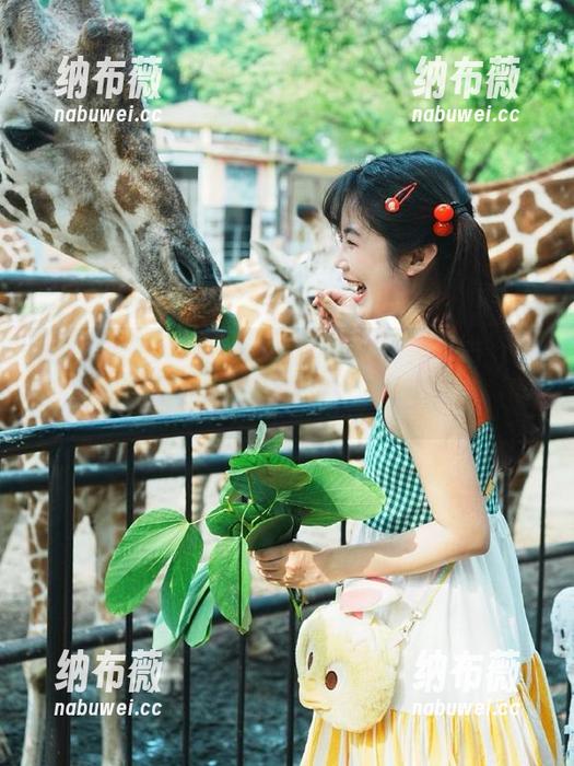吃瓜网 吃瓜网下载入口及更新指南,轻松获取新内容