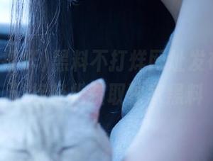 黑料不打烊网址发布，通过链接轻松获取独家黑料