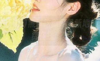 黑料吃瓜网最新地址永久免费在线浏览