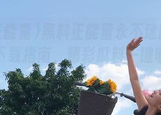 黑料正能量永不迷路2025年安卓下载指南，精彩瓜料一键收藏不停歇