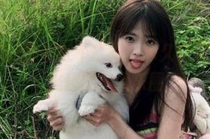 黑料社不打烊，永久在线聚焦最火爆的瓜娱乐圈