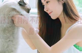 黑料网不打烊，最新爆料比瓜还甜更离谱